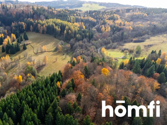 Działki w otoczeniu ciszy i spokoju - Działka - Sprzedaż - Kłodzki, Lewin Kłodzki / Kocioł