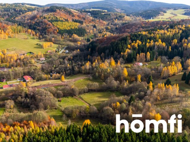 Działki w otoczeniu ciszy i spokoju - Działka - Sprzedaż - Kłodzki, Lewin Kłodzki / Kocioł