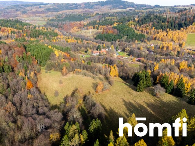 Działki w otoczeniu ciszy i spokoju - Działka - Sprzedaż - Kłodzki, Lewin Kłodzki / Kocioł