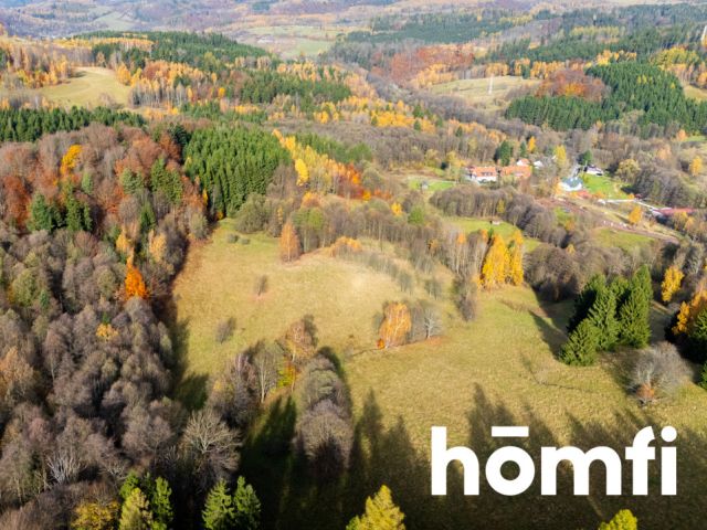 Działki w otoczeniu ciszy i spokoju - Działka - Sprzedaż - Kłodzki, Lewin Kłodzki / Kocioł