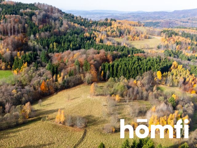 Działki w otoczeniu ciszy i spokoju - Działka - Sprzedaż - Kłodzki, Lewin Kłodzki / Kocioł