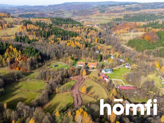 Działki w otoczeniu ciszy i spokoju - Działka - Sprzedaż - Kłodzki, Lewin Kłodzki / Kocioł