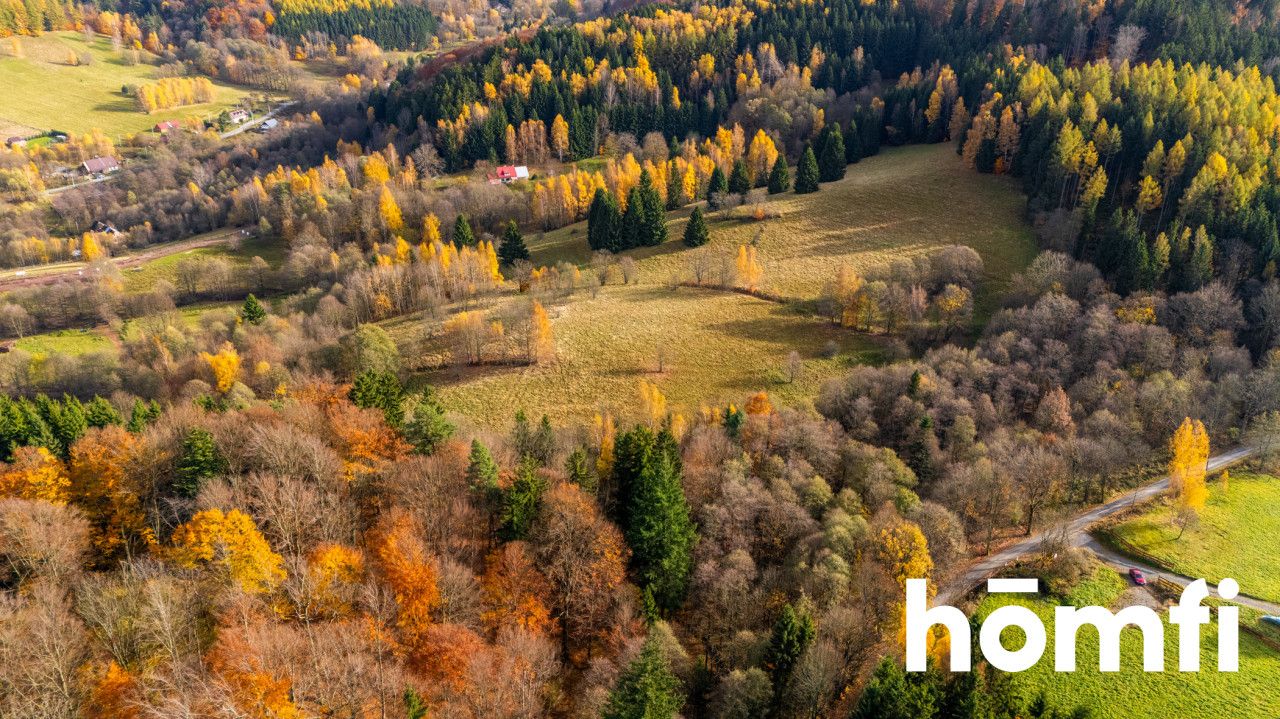 Działki rekreacyjne w otulinie:lasu, ciszy,spokoju - Działka - Sprzedaż - Kłodzki, Lewin Kłodzki / Kocioł