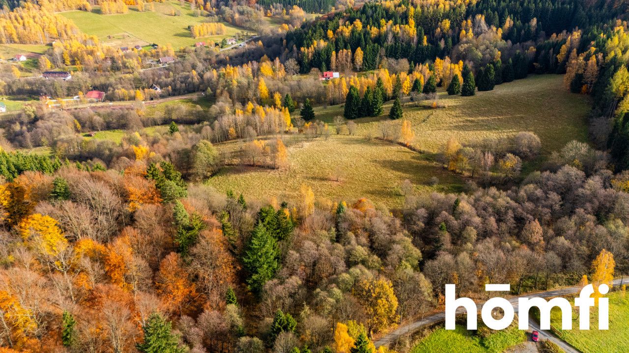 Działki rekreacyjne w otulinie:lasu, ciszy,spokoju - Działka - Sprzedaż - Kłodzki, Lewin Kłodzki / Kocioł