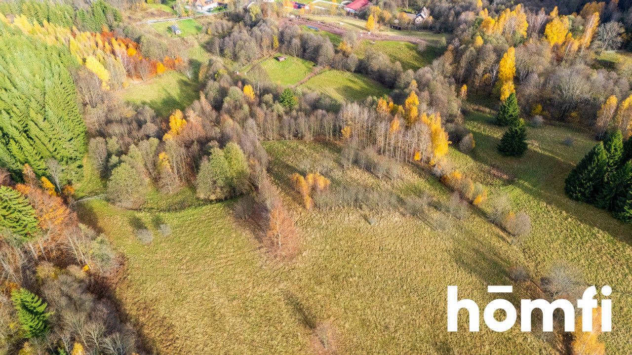 Działki rekreacyjne w otulinie:lasu, ciszy,spokoju - Działka - Sprzedaż - Kłodzki, Lewin Kłodzki / Kocioł