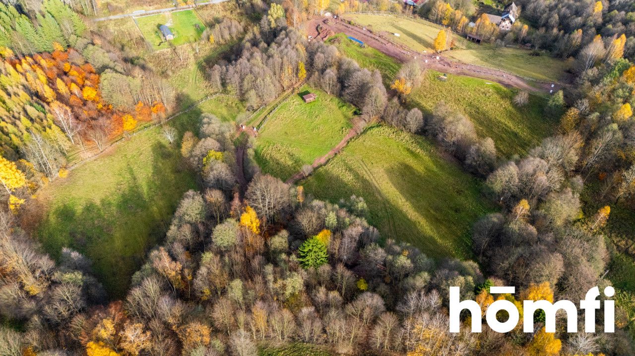 Działki rekreacyjne w otulinie:lasu, ciszy,spokoju - Działka - Sprzedaż - Kłodzki, Lewin Kłodzki / Kocioł