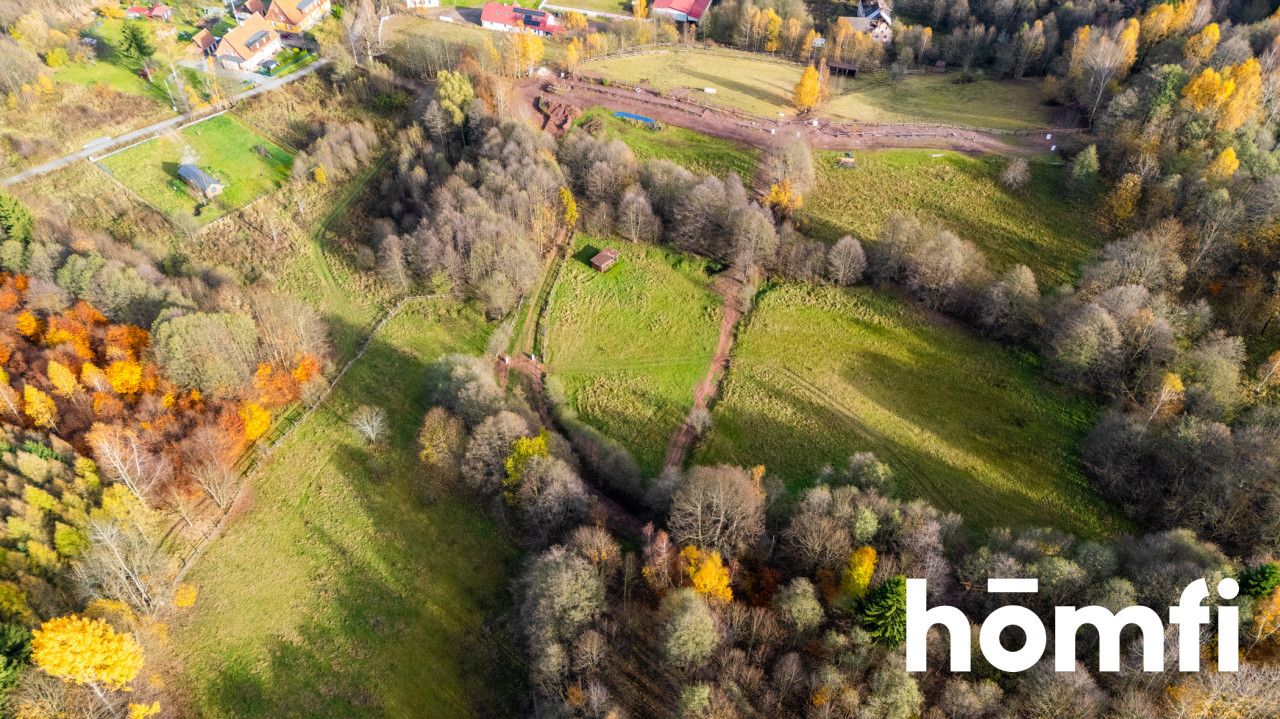 Działki rekreacyjne w otulinie:lasu, ciszy,spokoju - Działka - Sprzedaż - Kłodzki, Lewin Kłodzki / Kocioł