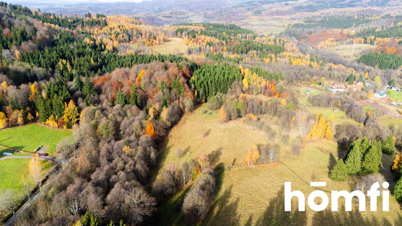 Działki rekreacyjne w otulinie:lasu, ciszy,spokoju - Działka - Sprzedaż - Kłodzki, Lewin Kłodzki / Kocioł