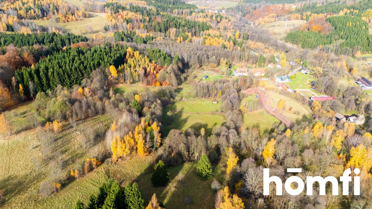 Działki rekreacyjne w otulinie:lasu, ciszy,spokoju - Działka - Sprzedaż - Kłodzki, Lewin Kłodzki / Kocioł