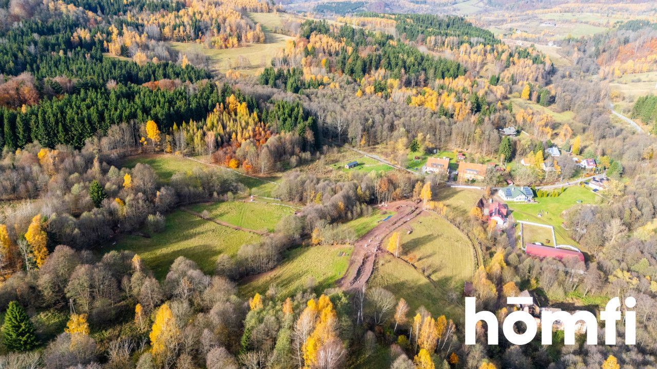 Działki rekreacyjne w otulinie:lasu, ciszy,spokoju - Działka - Sprzedaż - Kłodzki, Lewin Kłodzki / Kocioł