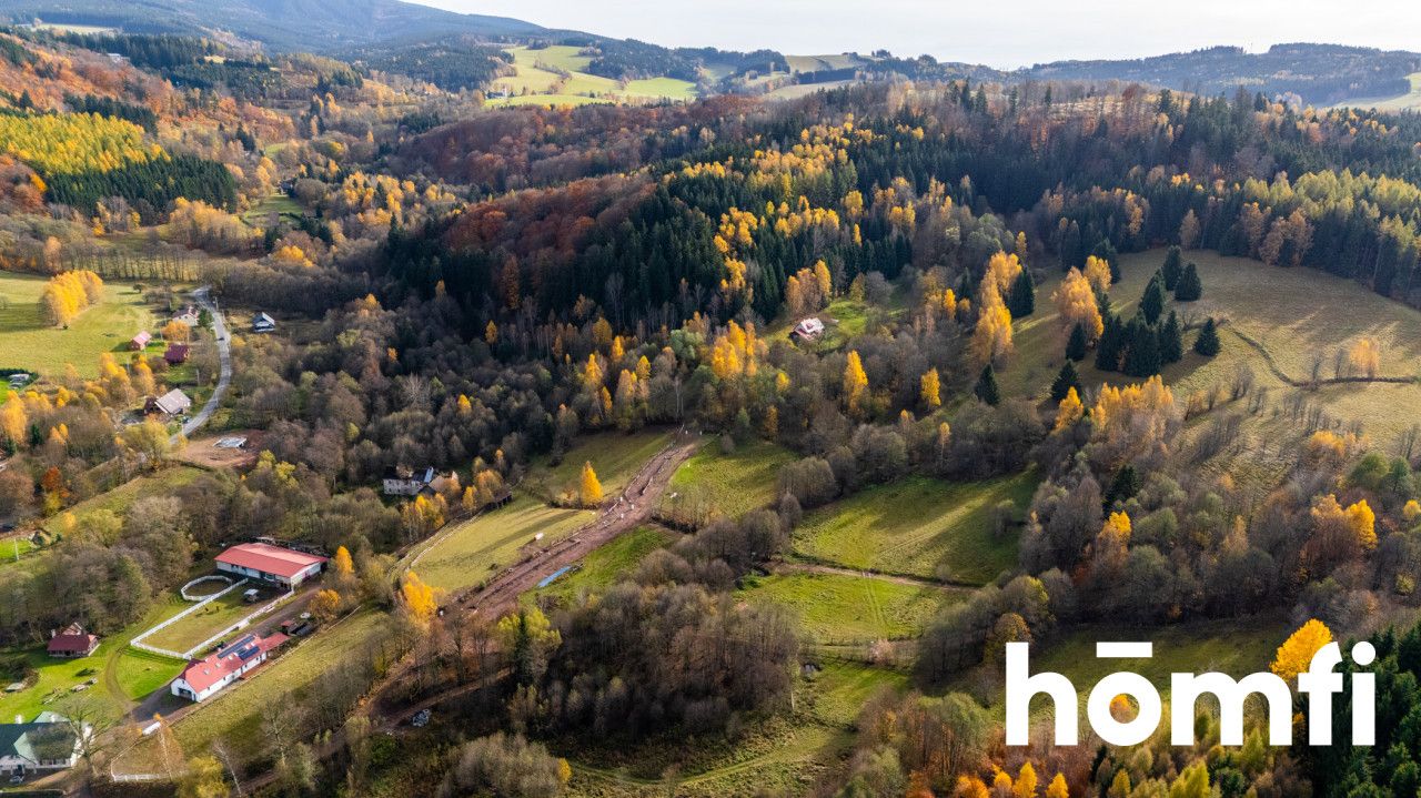 Działki rekreacyjne w otulinie:lasu, ciszy,spokoju - Działka - Sprzedaż - Kłodzki, Lewin Kłodzki / Kocioł