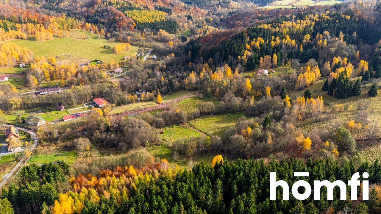 Działki rekreacyjne w otulinie:lasu, ciszy,spokoju - Działka - Sprzedaż - Kłodzki, Lewin Kłodzki / Kocioł