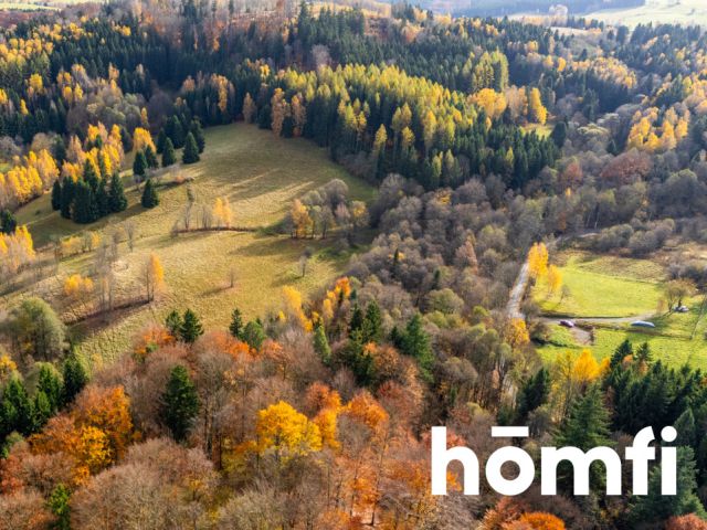 Działki rekreacyjne w otulinie:lasu, ciszy,spokoju - Działka - Sprzedaż - Kłodzki, Lewin Kłodzki / Kocioł