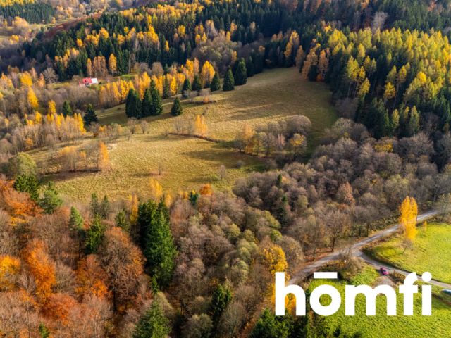 Działki rekreacyjne w otulinie:lasu, ciszy,spokoju - Działka - Sprzedaż - Kłodzki, Lewin Kłodzki / Kocioł