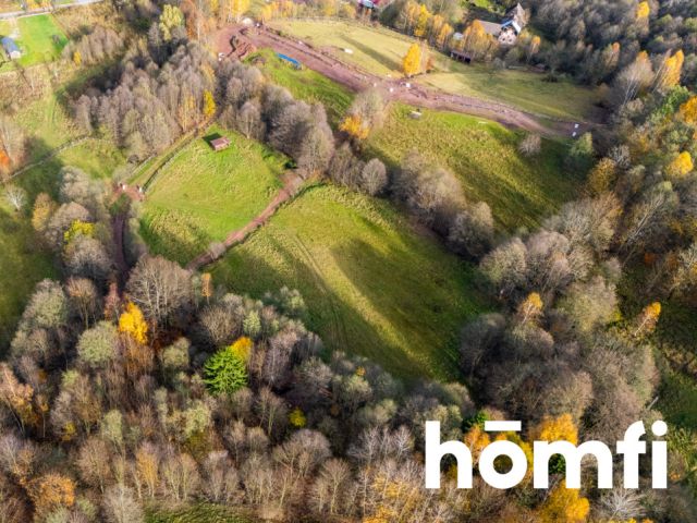 Działki rekreacyjne w otulinie:lasu, ciszy,spokoju - Działka - Sprzedaż - Kłodzki, Lewin Kłodzki / Kocioł