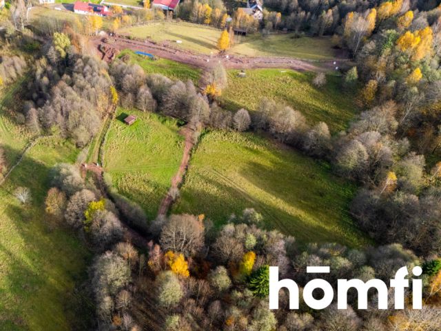 Działki rekreacyjne w otulinie:lasu, ciszy,spokoju - Działka - Sprzedaż - Kłodzki, Lewin Kłodzki / Kocioł