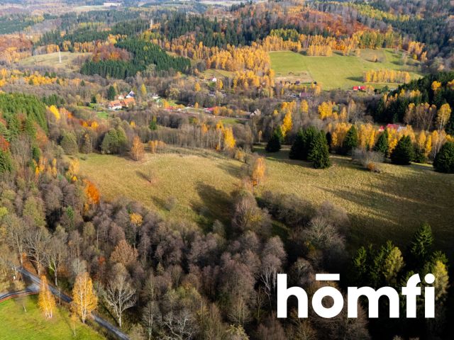 Działki rekreacyjne w otulinie:lasu, ciszy,spokoju - Działka - Sprzedaż - Kłodzki, Lewin Kłodzki / Kocioł