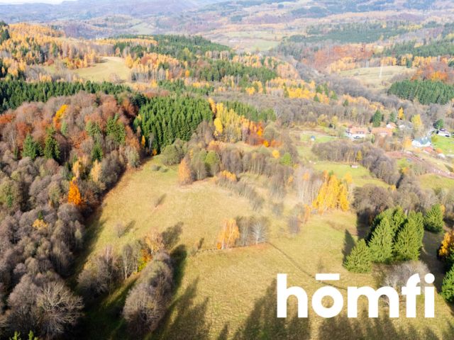 Działki rekreacyjne w otulinie:lasu, ciszy,spokoju - Działka - Sprzedaż - Kłodzki, Lewin Kłodzki / Kocioł