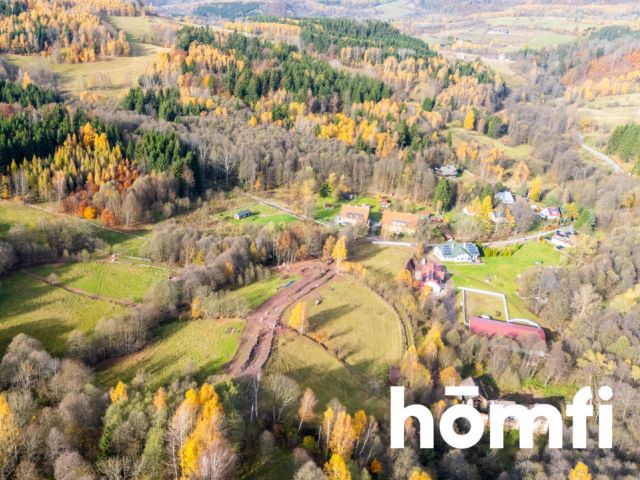 Działki rekreacyjne w otulinie:lasu, ciszy,spokoju - Działka - Sprzedaż - Kłodzki, Lewin Kłodzki / Kocioł