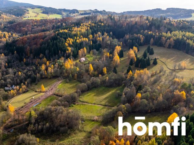 Działki rekreacyjne w otulinie:lasu, ciszy,spokoju - Działka - Sprzedaż - Kłodzki, Lewin Kłodzki / Kocioł