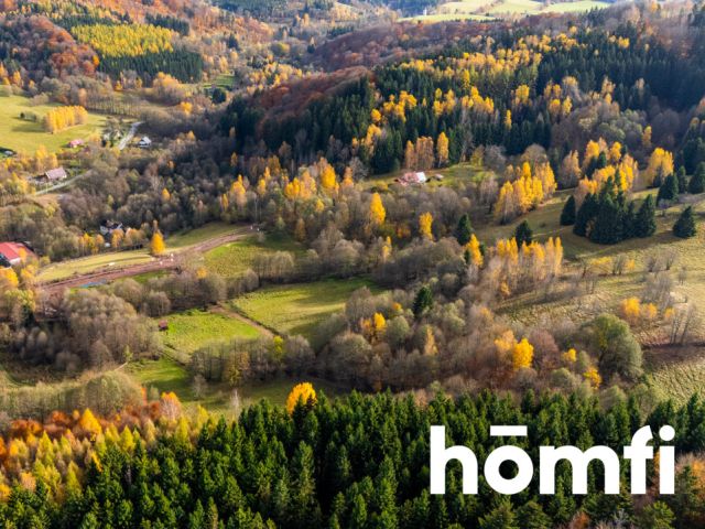 Działki rekreacyjne w otulinie:lasu, ciszy,spokoju - Działka - Sprzedaż - Kłodzki, Lewin Kłodzki / Kocioł