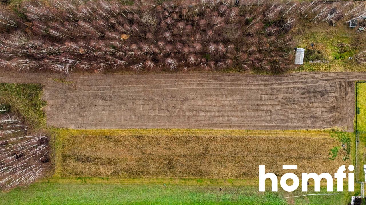 Plot surrounded by forest, Garno, Wolanów - Plot - Sale - Radomski, Wolanów / Garno