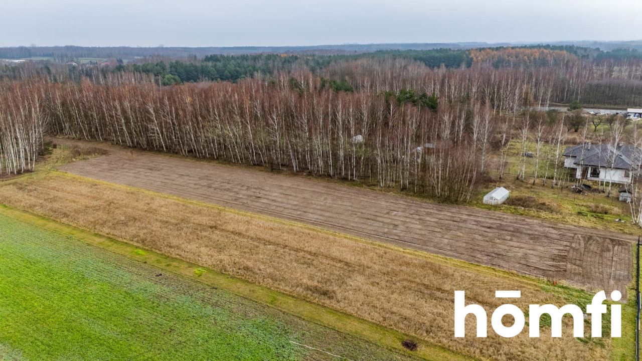 Plot surrounded by forest, Garno, Wolanów - Plot - Sale - Radomski, Wolanów / Garno