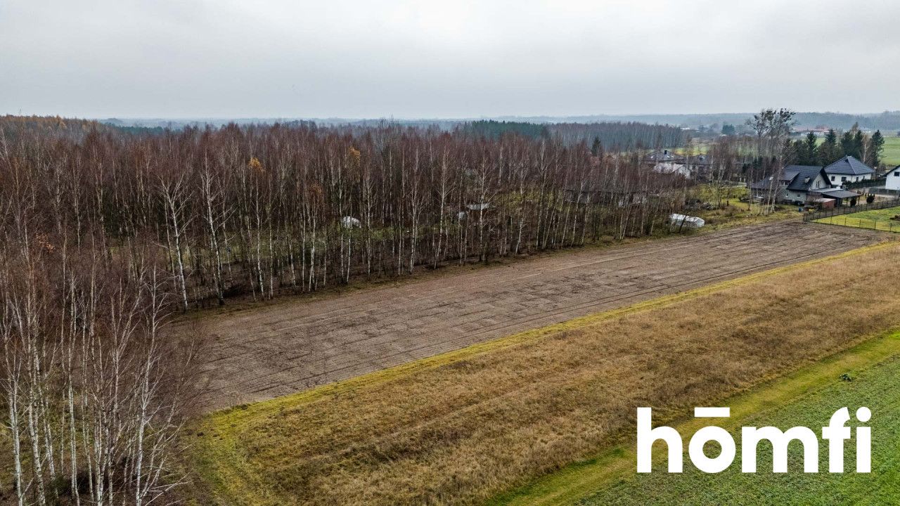 Plot surrounded by forest, Garno, Wolanów - Plot - Sale - Radomski, Wolanów / Garno