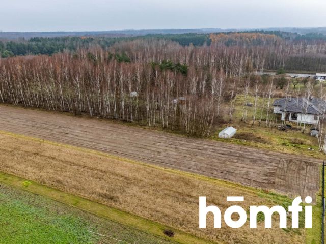 Plot surrounded by forest, Garno, Wolanów - Plot - Sale - Radomski, Wolanów / Garno