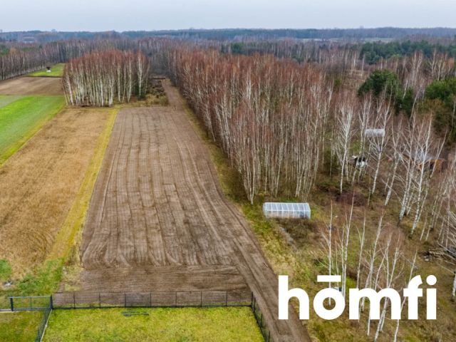 Plot surrounded by forest, Garno, Wolanów - Plot - Sale - Radomski, Wolanów / Garno