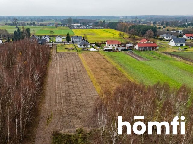 Plot surrounded by forest, Garno, Wolanów - Plot - Sale - Radomski, Wolanów / Garno