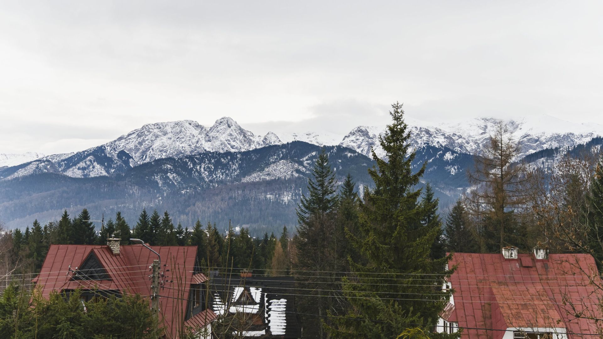MIESZKANIE 3 - POKOJOWE / KOŚCIELISKO - Mieszkanie - Wynajem - Tatrzański, Kościelisko