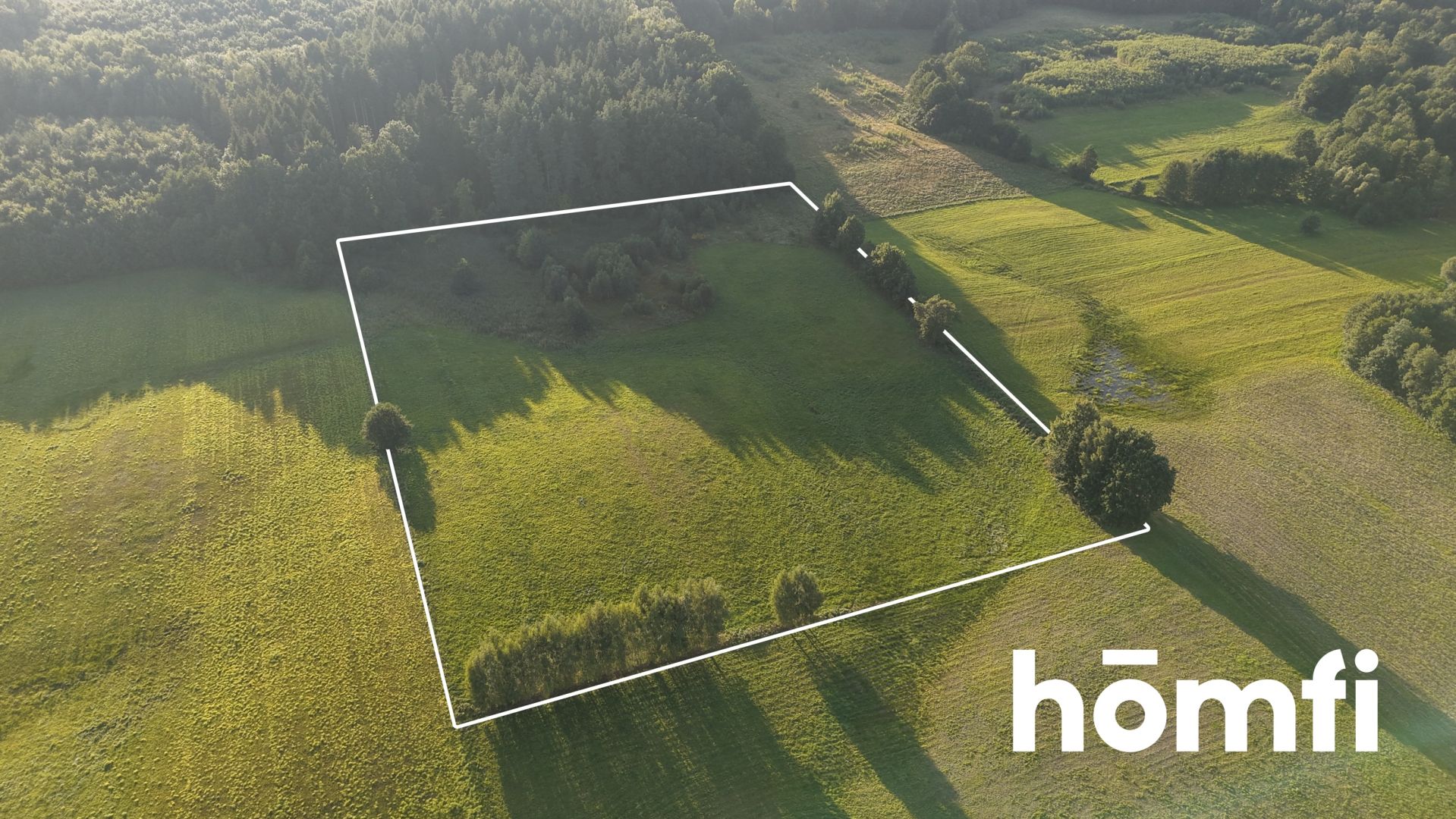 plot RIVa 2,43 hectare Stare Monasterzysko - Plot - Sale - Elbląski, Młynary / Stare Monasterzysko