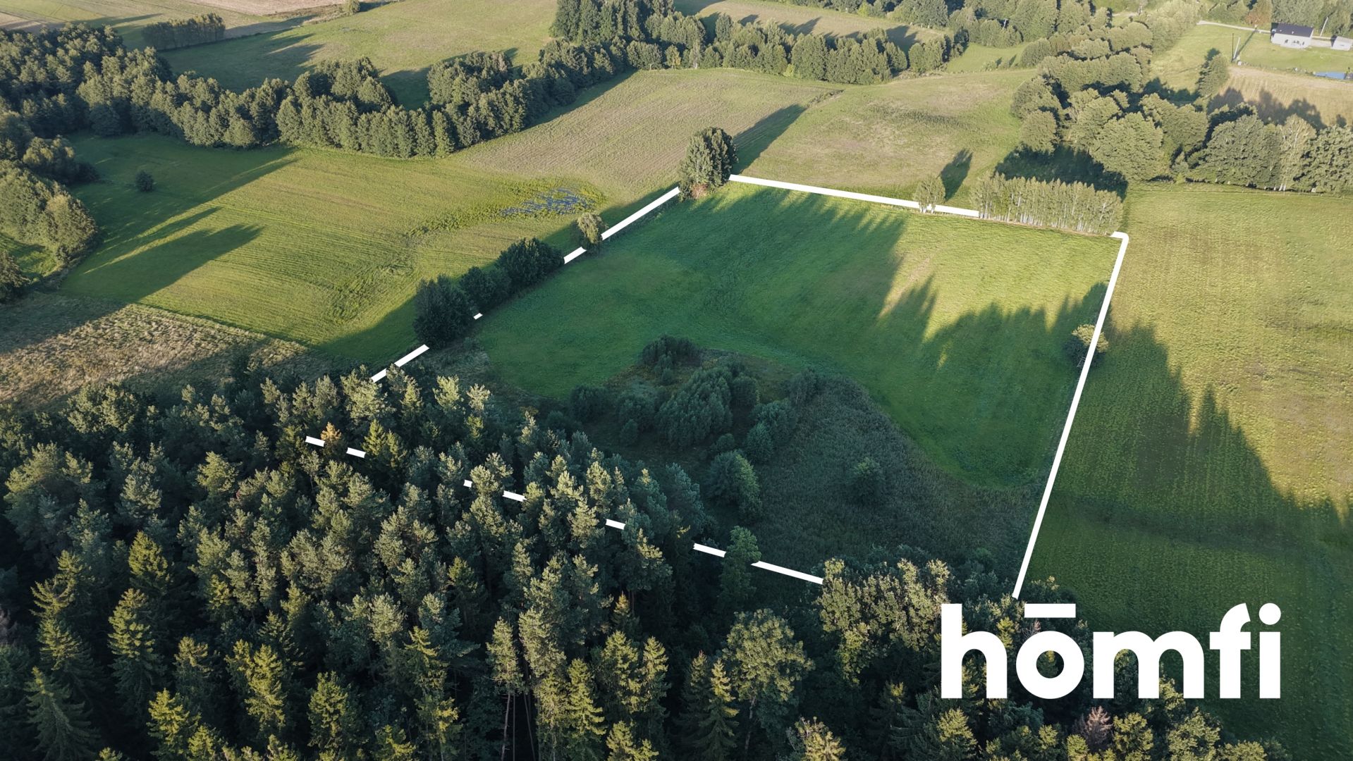 plot RIVa 2,43 hectare Stare Monasterzysko - Plot - Sale - Elbląski, Młynary / Stare Monasterzysko
