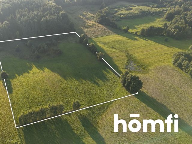 plot RIVa 2,43 hectare Stare Monasterzysko - Plot - Sale - Elbląski, Młynary / Stare Monasterzysko