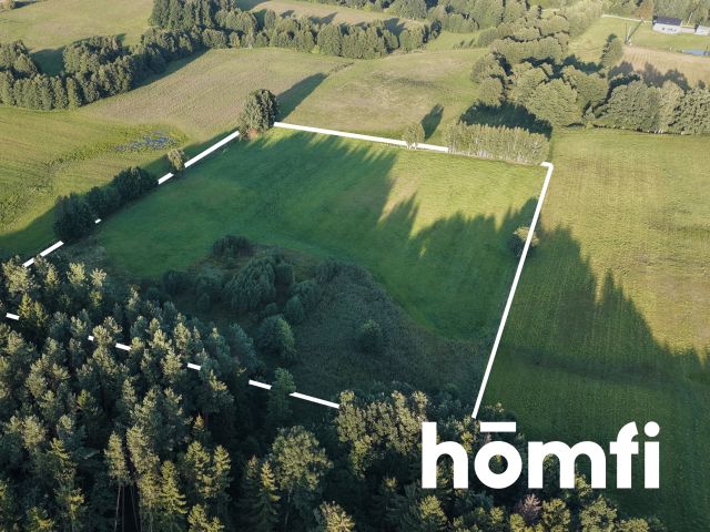 plot RIVa 2,43 hectare Stare Monasterzysko - Plot - Sale - Elbląski, Młynary / Stare Monasterzysko