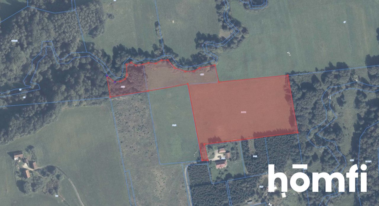 plot RIVa 2,61 hectare Zaścianki, elbląski - Plot - Sale - Elbląski, Młynary / Zaścianki