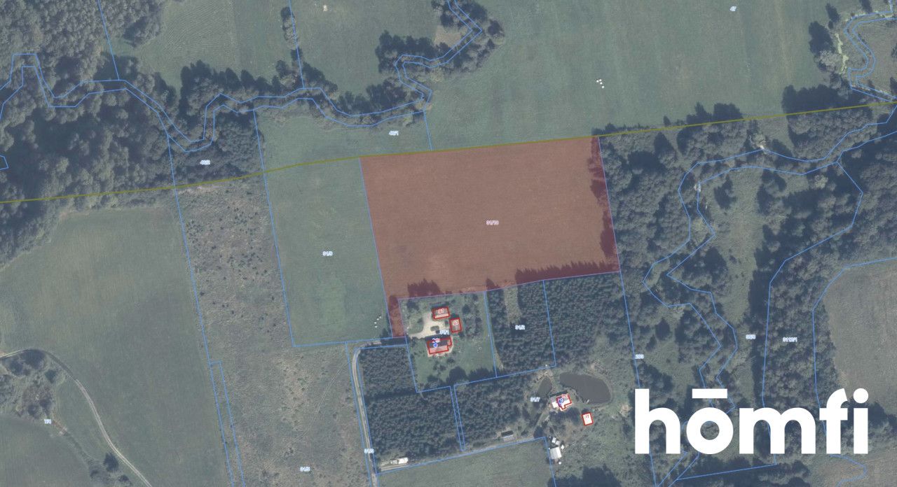 plot RIVa 2,61 hectare Zaścianki, elbląski - Plot - Sale - Elbląski, Młynary / Zaścianki