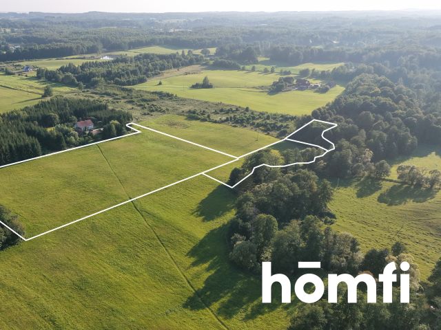 plot RIVa 2,61 hectare Zaścianki, elbląski - Plot - Sale - Elbląski, Młynary / Zaścianki