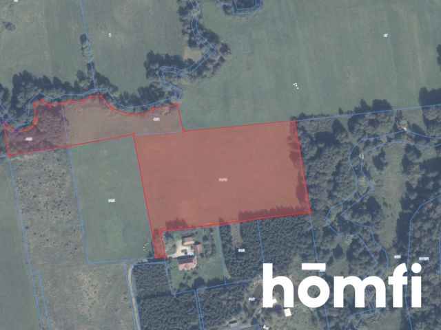 plot RIVa 2,61 hectare Zaścianki, elbląski - Plot - Sale - Elbląski, Młynary / Zaścianki