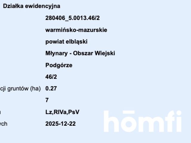 plot RIVa 2,61 hectare Zaścianki, elbląski - Plot - Sale - Elbląski, Młynary / Zaścianki
