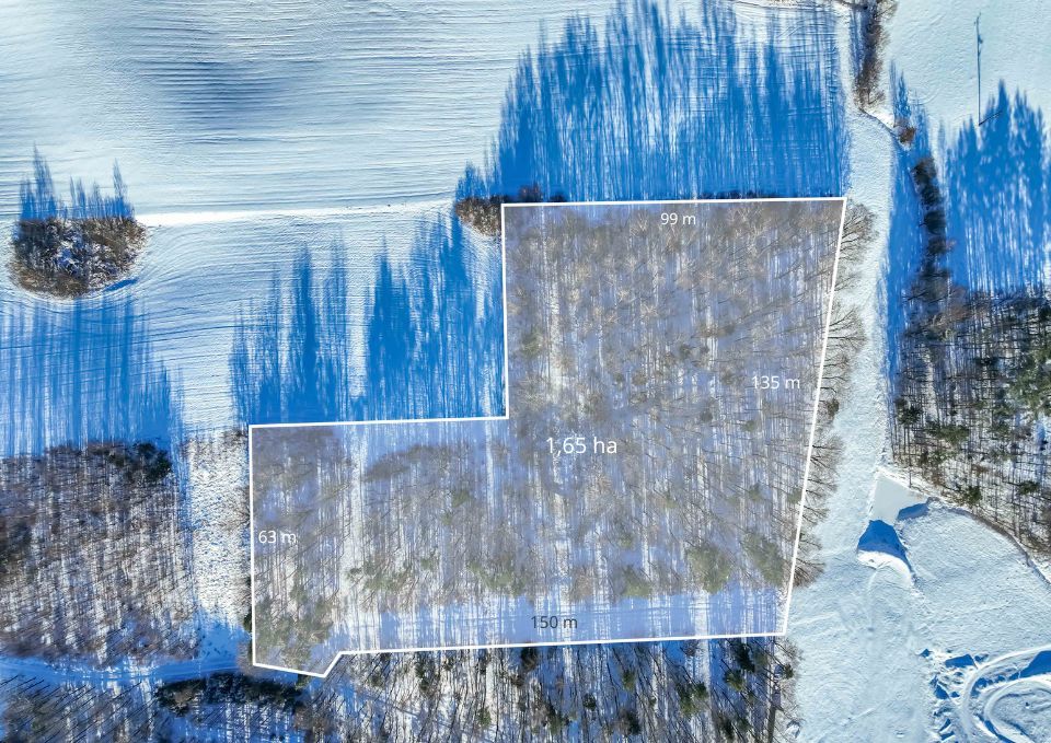 FOREST LAND FOR SALE – Czarna Dąbrówka, Rokity - Plot - Sale - Bytowski, Czarna Dąbrówka / Rokity