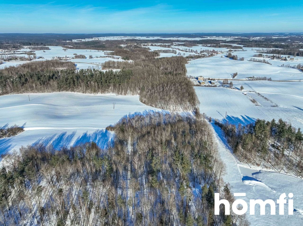 FOREST LAND FOR SALE – Czarna Dąbrówka, Rokity - Plot - Sale - Bytowski, Czarna Dąbrówka / Rokity
