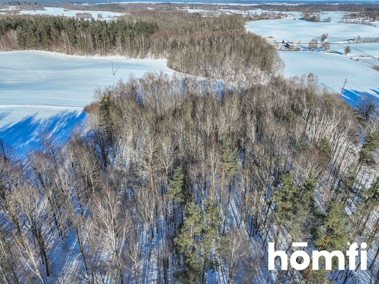 FOREST LAND FOR SALE – Czarna Dąbrówka, Rokity - Plot - Sale - Bytowski, Czarna Dąbrówka / Rokity