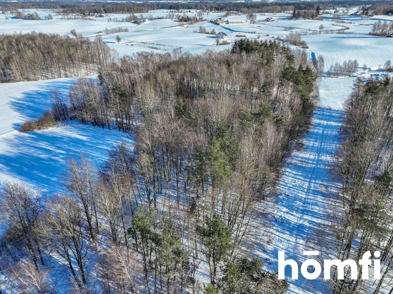 FOREST LAND FOR SALE – Czarna Dąbrówka, Rokity - Plot - Sale - Bytowski, Czarna Dąbrówka / Rokity