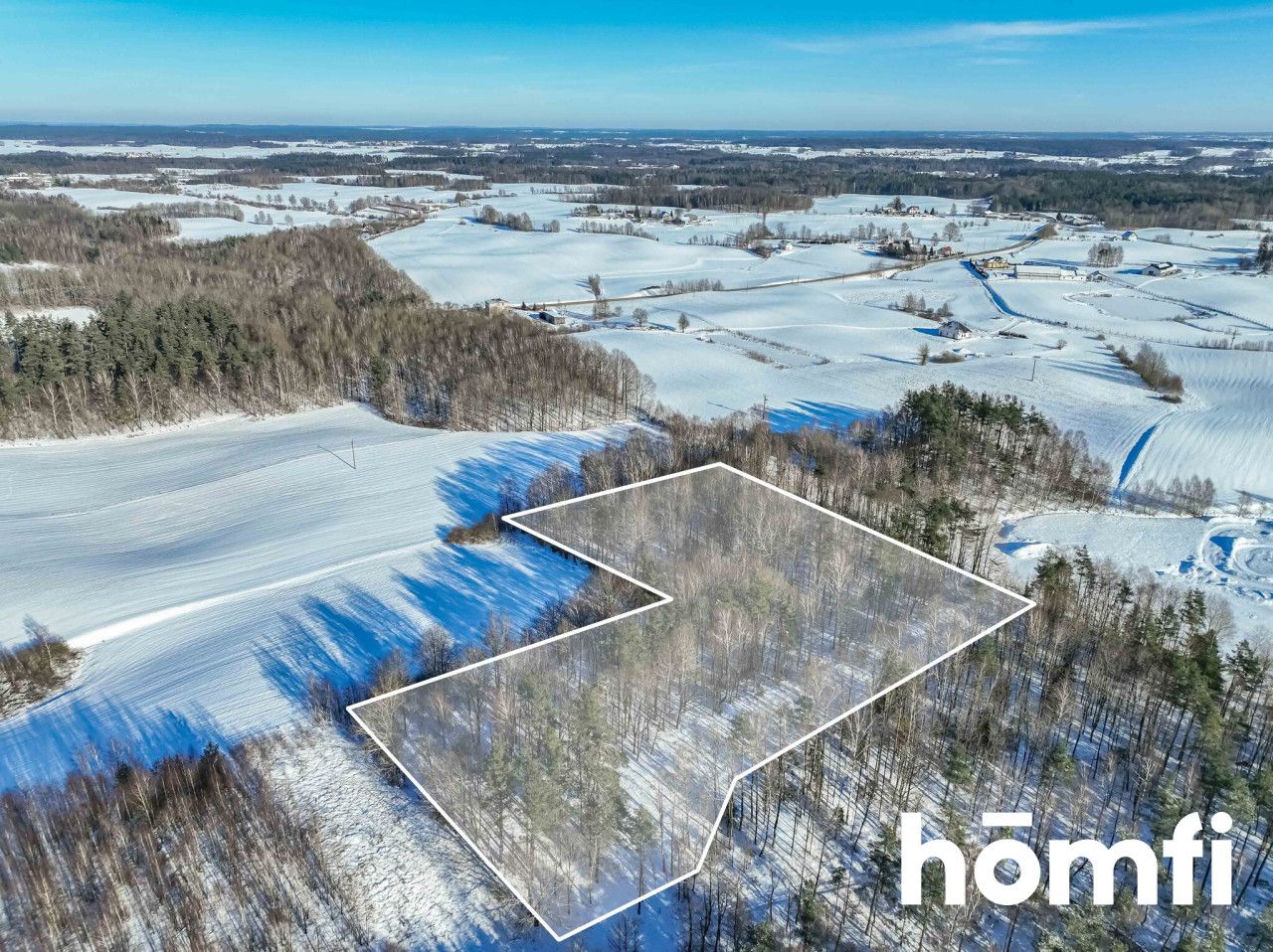 FOREST LAND FOR SALE – Czarna Dąbrówka, Rokity - Plot - Sale - Bytowski, Czarna Dąbrówka / Rokity