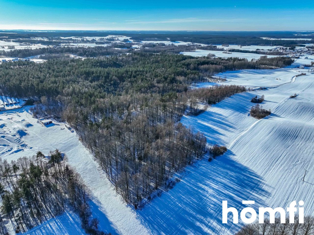 FOREST LAND FOR SALE – Czarna Dąbrówka, Rokity - Plot - Sale - Bytowski, Czarna Dąbrówka / Rokity