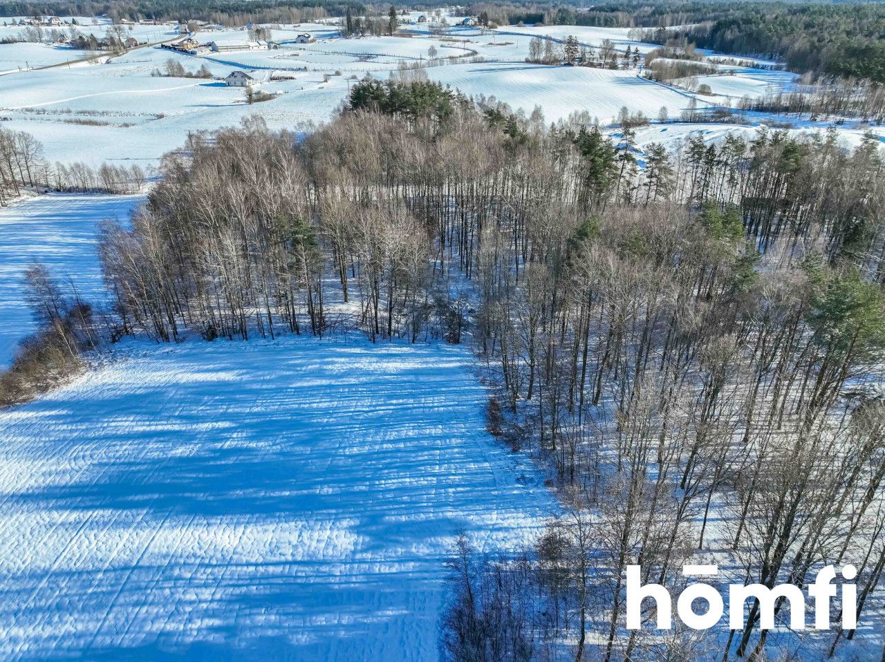 FOREST LAND FOR SALE – Czarna Dąbrówka, Rokity - Plot - Sale - Bytowski, Czarna Dąbrówka / Rokity