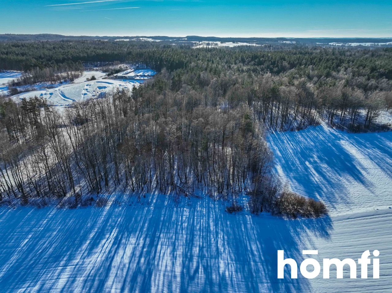 FOREST LAND FOR SALE – Czarna Dąbrówka, Rokity - Plot - Sale - Bytowski, Czarna Dąbrówka / Rokity