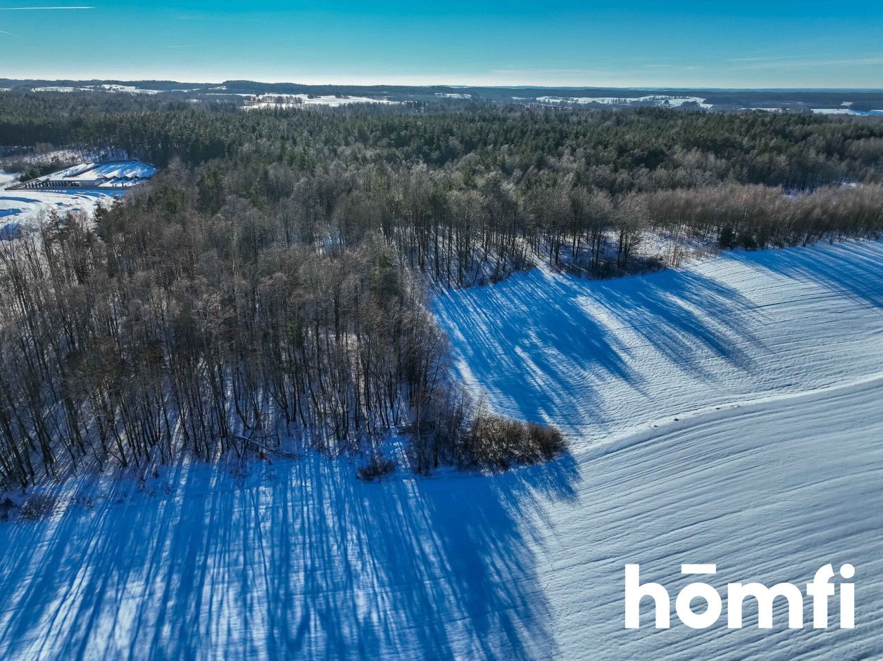 FOREST LAND FOR SALE – Czarna Dąbrówka, Rokity - Plot - Sale - Bytowski, Czarna Dąbrówka / Rokity